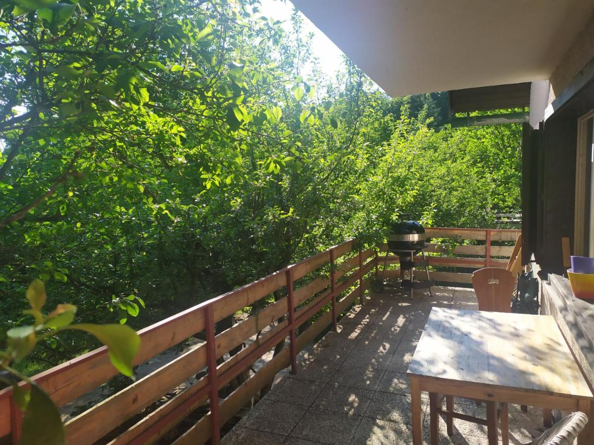 Chata Na Poskle U Lesa S Vyhledem Hutisko Exterior foto
